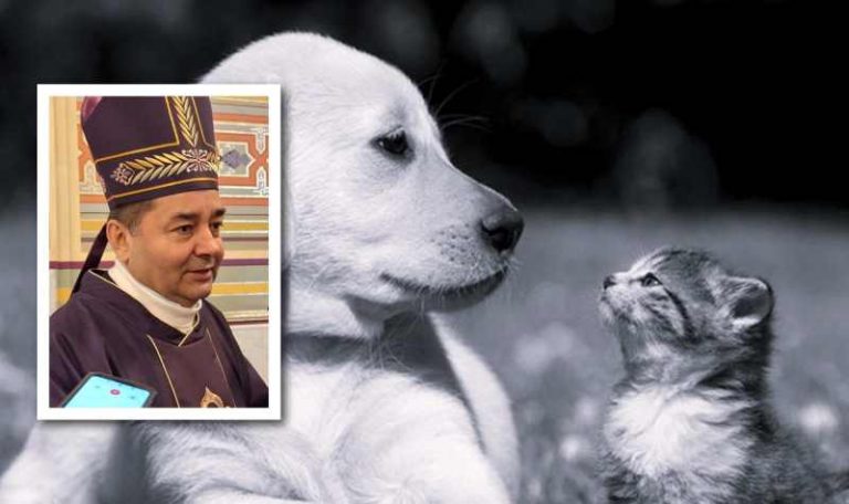 Aberrante caso de Z00filia en Madero repugna al Clero.