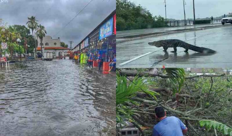 Torrenciales lluvias desquician el sur de Tamaulipas.