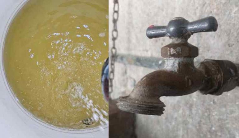 Temen mortandad en el sur de Tamaulipas por agua contaminada.