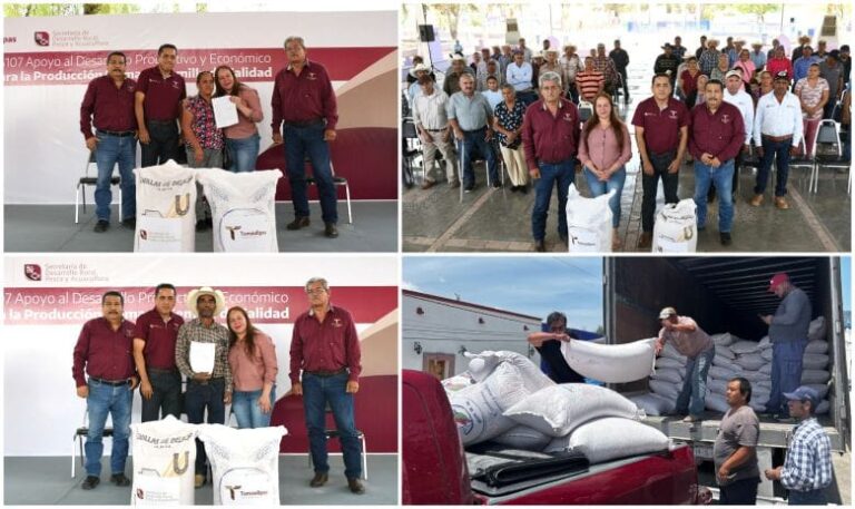 Fortalece Gobierno de Tamaulipas desarrollo agrícola en el altiplano con entrega de semilla de avena