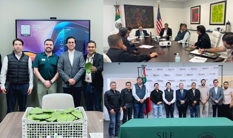 Impulsa Tamaulipas comercialización internacional de productos agrícolas