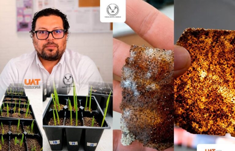 Patenta la UAT bioplásticos que recuperan suelos erosionados